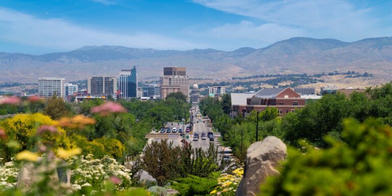 City skyline and tree-lined street with mountains in the background, framed by blurred flowers and shrubs in front.